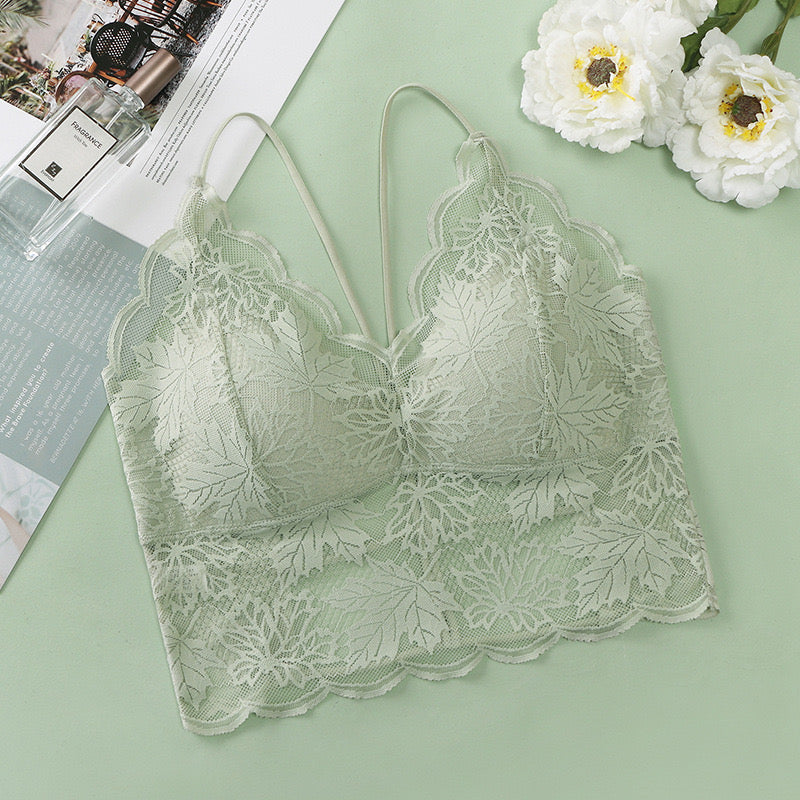 Stylish sage green lace bralette with scalloped hem and sheer fabric detail.